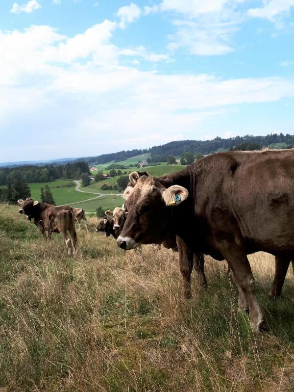 Ferienhaus Rasch Maierhöfen Dış mekan fotoğraf