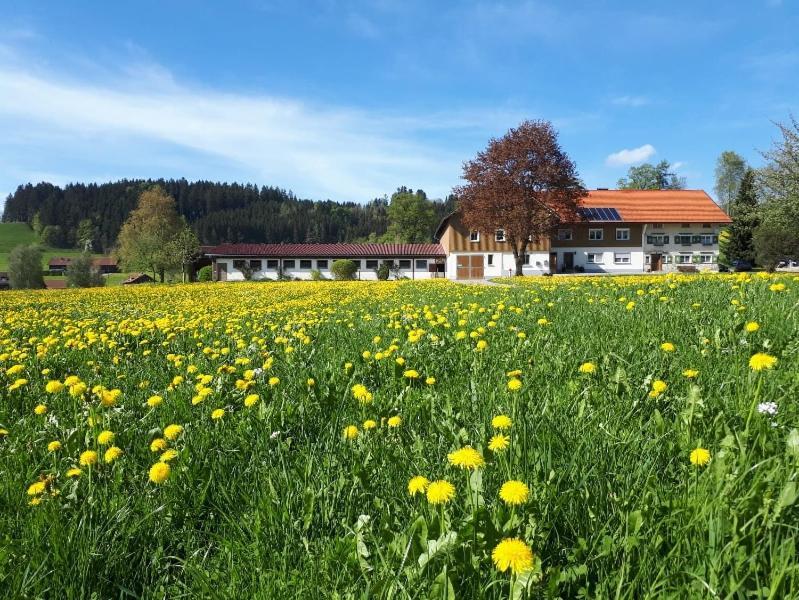 Ferienhaus Rasch Maierhöfen Dış mekan fotoğraf