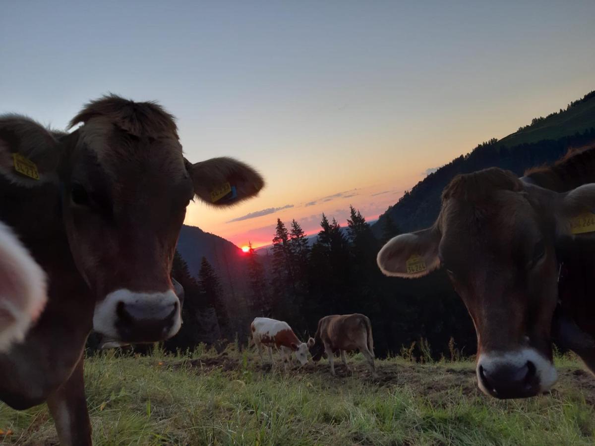Ferienhaus Rasch Maierhöfen Dış mekan fotoğraf
