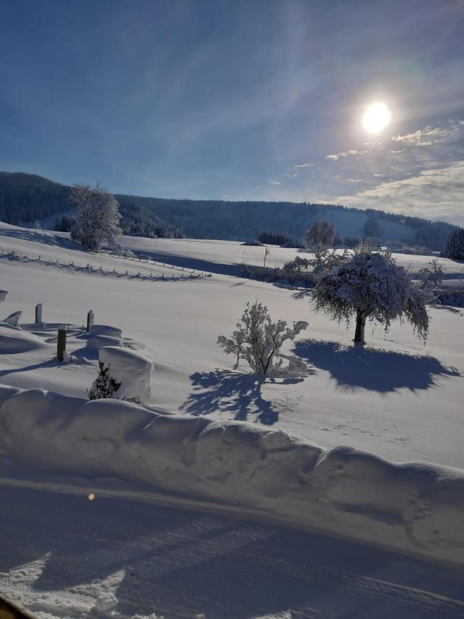 Ferienhaus Rasch Maierhöfen Dış mekan fotoğraf