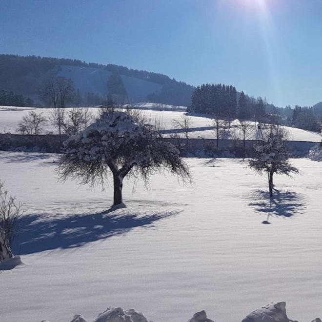 Ferienhaus Rasch Maierhöfen Dış mekan fotoğraf
